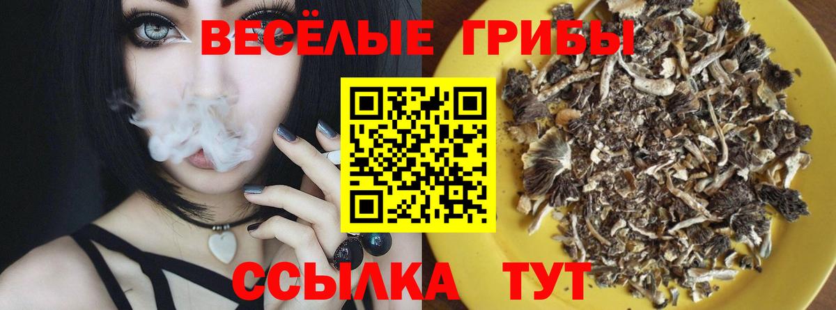 Москва  Псилоцибиновые грибы мицелий  Вход с VPN 